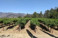 Napa and Sonoma Valley Wine Tour thumbnail 2