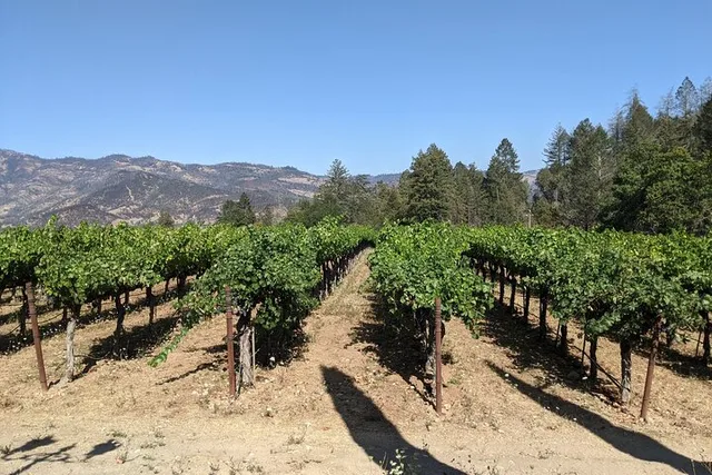Napa and Sonoma Valley Wine Tour - Image 2