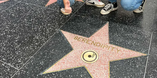 Los Angeles Walk of Fame Photo Experience - Image 2