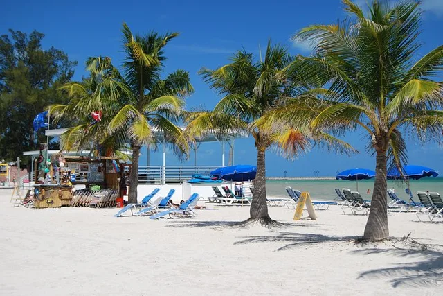Key West Private Tour with Expert Guide - Image 2