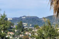 Los Angeles River Eco Tour and Secret Stair Hike thumbnail 3