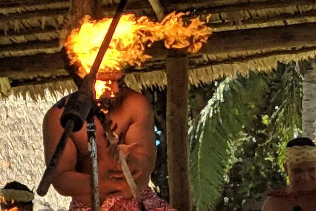 Waikiki Pearl Harbor, Dole Plantation, Polynesian Center Tour - Image 5