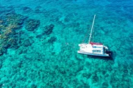 Key West Reef Snorkeling with Breakfast and Mimosas thumbnail 5