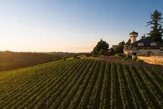 Oregon Wine Tasting Pass