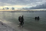 Florida Scuba Diving Experience thumbnail 5