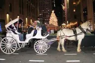 New York City Christmas Light Tour thumbnail 2