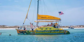 Panama City Beach Catamaran Snorkeling and Dolphin Tour