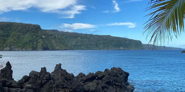 Maui Road to Hana Tour with Local Guide - Image 6