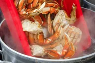 Ketchikan Wilderness Boat Cruise and Crab Feast thumbnail 2