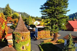San Francisco Redwoods and Wine Private Tour 8 hr