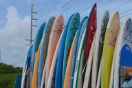 Key West Stand Up Paddleboard Rental 2 hr thumbnail 3