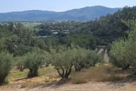 San Francisco Wine Tour with 2 Tastings Half-Day thumbnail 6
