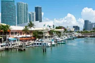 Miami City and Boat Tour thumbnail 1