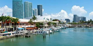 Miami City and Boat Tour