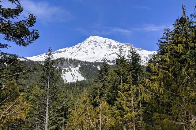 Seattle Mount Rainier National Park Day Tour - Image 6