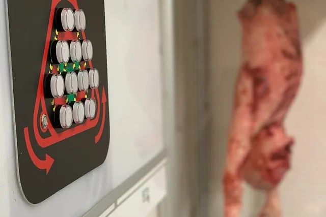 Miami Escape Room: Dr. Field's Mad Lab 60 Min - Image 2