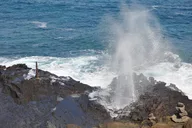 Oahu Circle Island Tour thumbnail 6