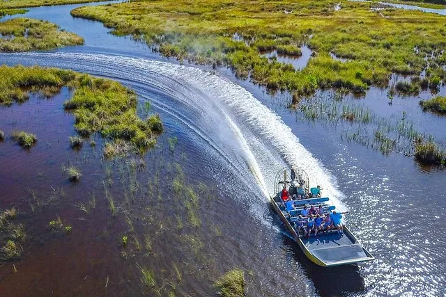 Miami Everglades Airboat Adventure - Image 5