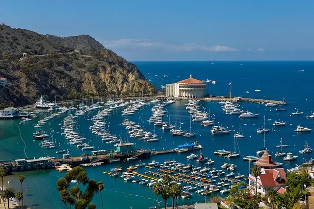 Catalina Island Day Trip from Anaheim - Image 5
