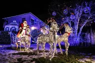 Brooklyn Dyker Heights Christmas Lights Tour thumbnail 2