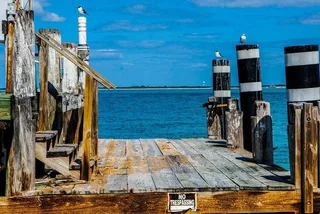 Egmont Key Snorkeling and Dolphin Tour
