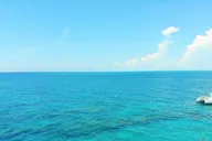 Key West Reef Snorkel and Sunset Cruise thumbnail 6