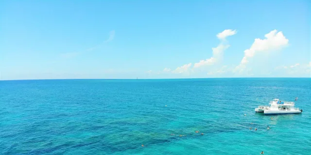 Key West Reef Snorkel and Sunset Cruise - Image 6