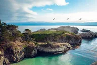 Point Lobos Self-Guided App Tour thumbnail 3