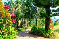 Maui Self-Driving Audio Tour of Road to Hana thumbnail 6