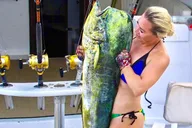 Key West Fishing Charter 4 Hours thumbnail 3