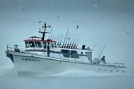 Kenai Fjords Whale Watching and Fishing Tour thumbnail 2