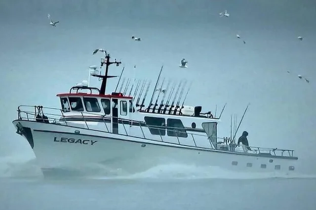 Kenai Fjords Whale Watching and Fishing Tour - Image 2