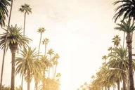 Los Angeles Private Sightseeing Tour thumbnail 4