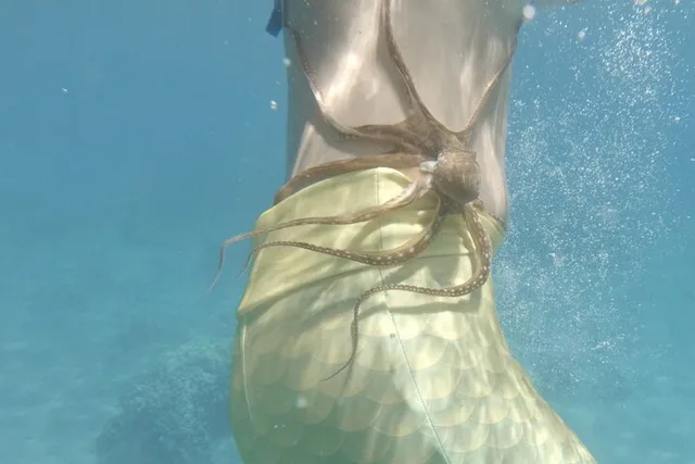 Lahaina Sea Scooter Snorkeling Tour - Image 3