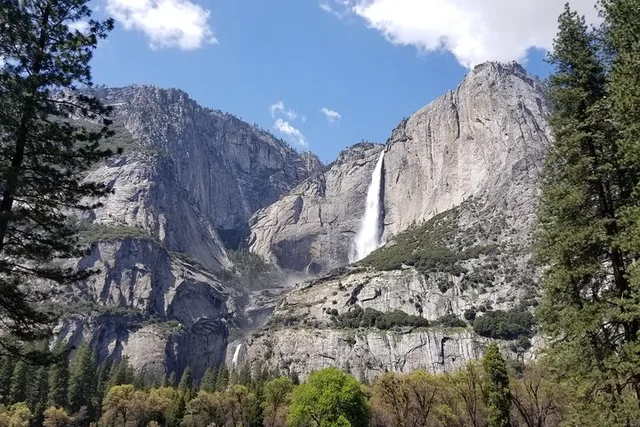 San Francisco Yosemite Day Tour - Image 6