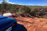 Sedona 4x4 Open-Air Jeep Tour thumbnail 2