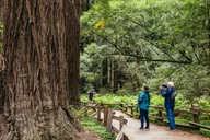 San Francisco Muir Woods and Wine Tour thumbnail 1