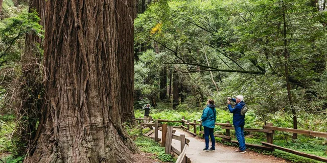 San Francisco Muir Woods and Wine Tour - Image 1
