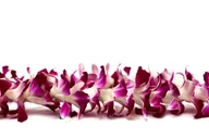Kahului Airport Flower Lei Greeting thumbnail 2