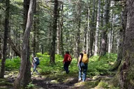 Haines Forest Therapy Tour thumbnail 4