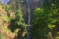 Portland Multnomah Falls and Mt. Hood Tour thumbnail 1