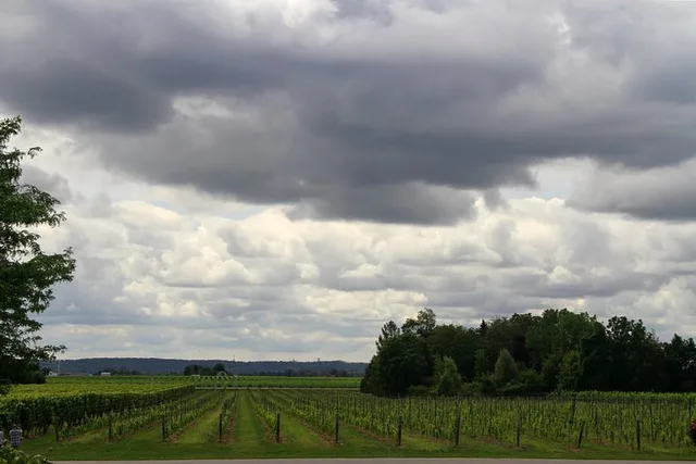 Napa & Sonoma Private Wine Tour 8-10 Hours - Image 4