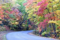 Asheville E-Bike Tour of Essential Gems thumbnail 2