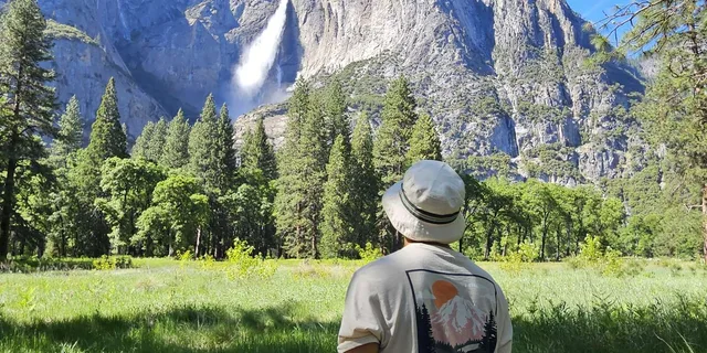 San Francisco Yosemite National Park Day Trip - Image 2