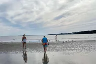 Hilton Head Island Dolphin and Disappearing Island Tour thumbnail 6