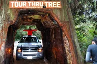 Redwood National Park Private Tour 3-Day thumbnail 2