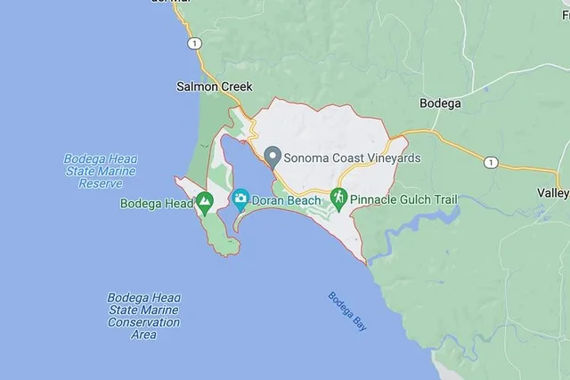 Bodega Bay Sunset Tour - Image 5