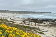 Carmel Electric Bike and Sidecar Tour with Dogs thumbnail 3