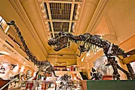 Washington D.C. Museum Tour thumbnail 4