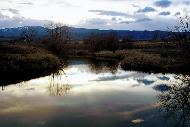Boulder Leadership & Mindfulness Retreat with Horses - Image 6